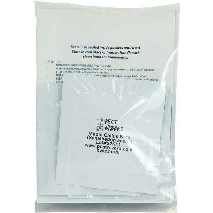 Pest Wizard Maple Callus Borer Moth Lure 3-Pack