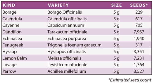 Medicinal Herb Garden Storage Seeds