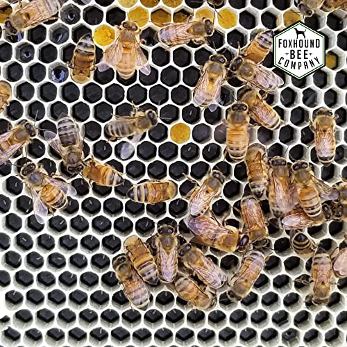 Metal Frame Spacers for 9-Frames