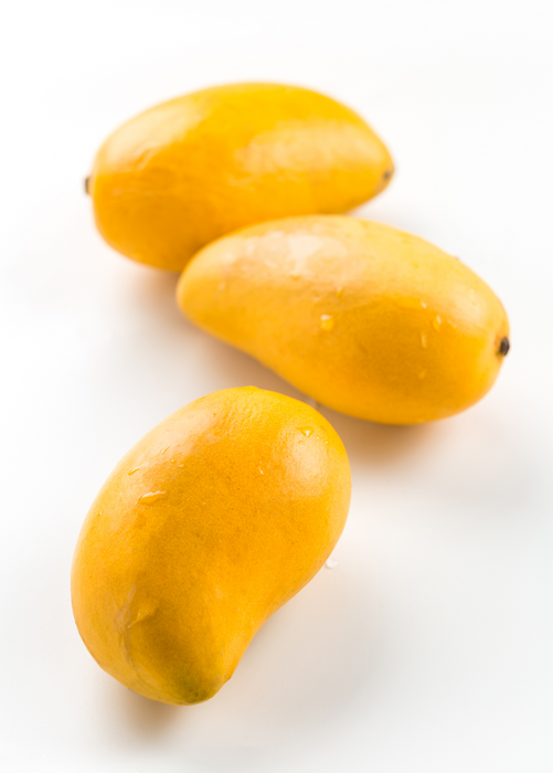 Mango 'Miracle' aka 'Choc-anon' (Mangifera indica)