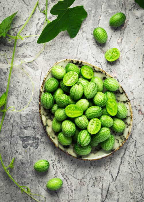 Mouse Melon (Melothria scabra)