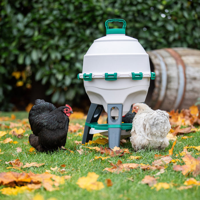 Optimus Poultry Drinker - 6 Gallon