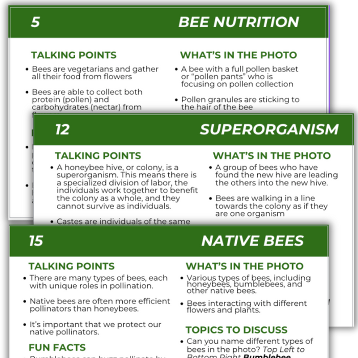 Educational Beekeeping Cards