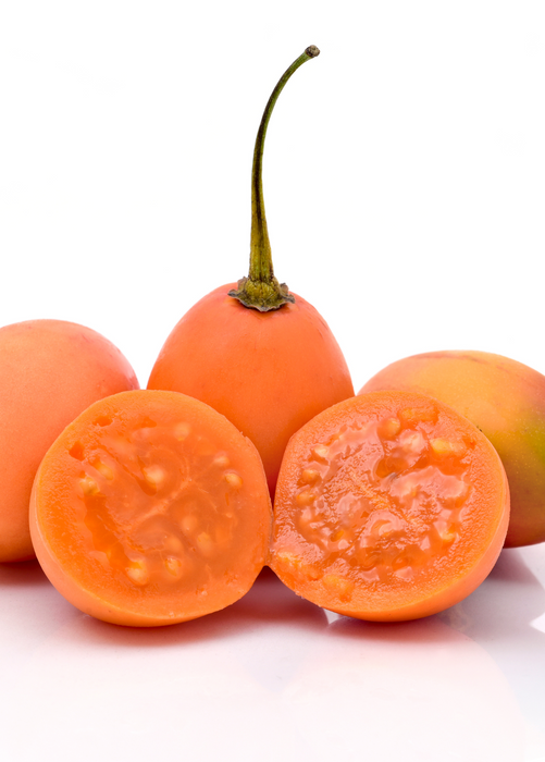 Tree Tomato, Orange (Cyphomandra betaceae)