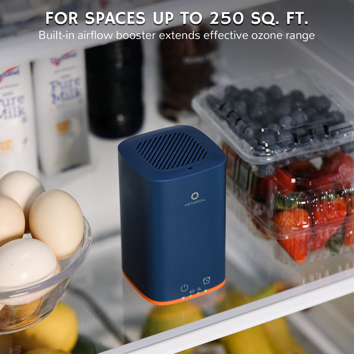 PA300-GO Portable Ozone Generator