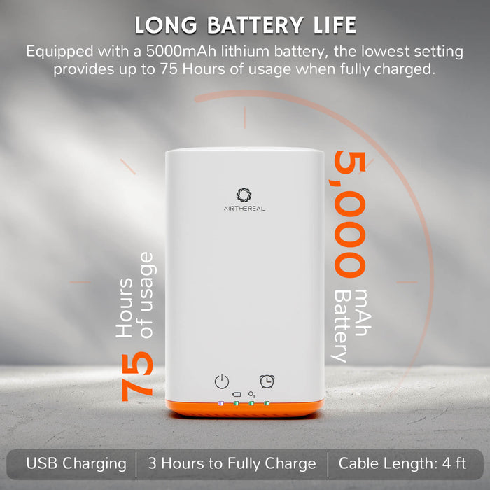 PA300-GO Portable Ozone Generator