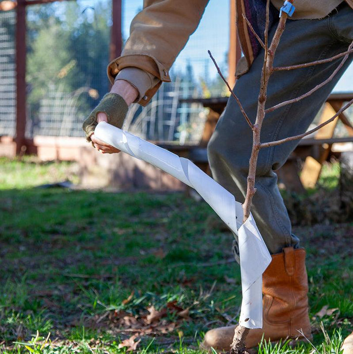 Spiral Tree Guards - 24" (Pack of 5)