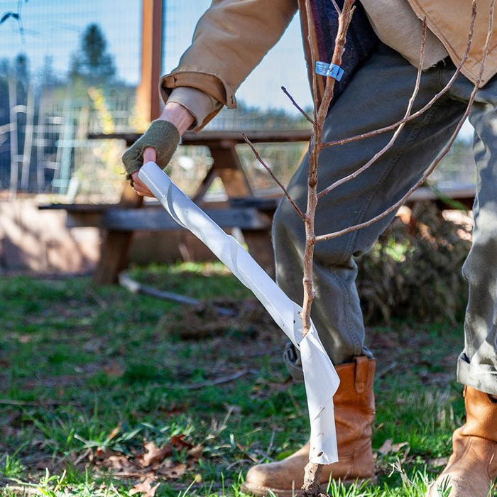 Spiral Tree Guards - 36" (Pack of 5)