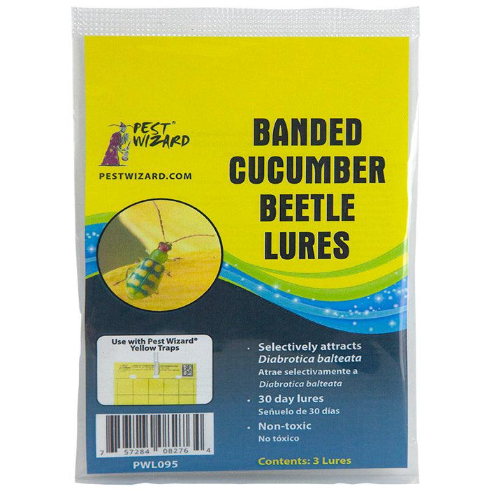 Pest Wizard Banded Cucumber Beetle Lure 3-Pack