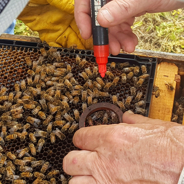 POSCA Queen Marking Pen