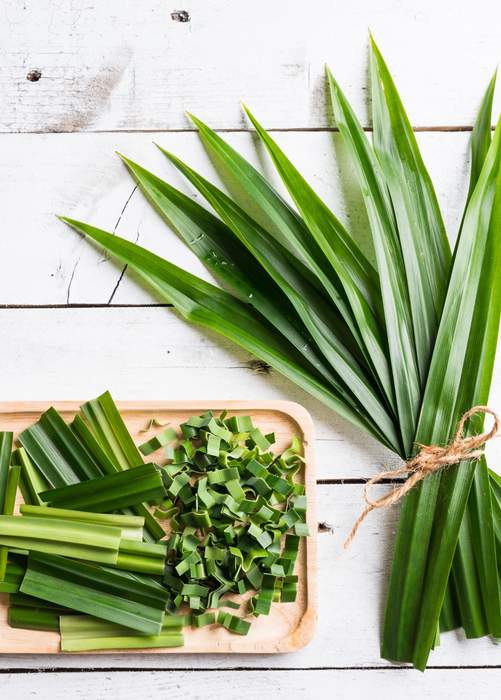 Pandan Leaf (Pandanus amaryllifolius)