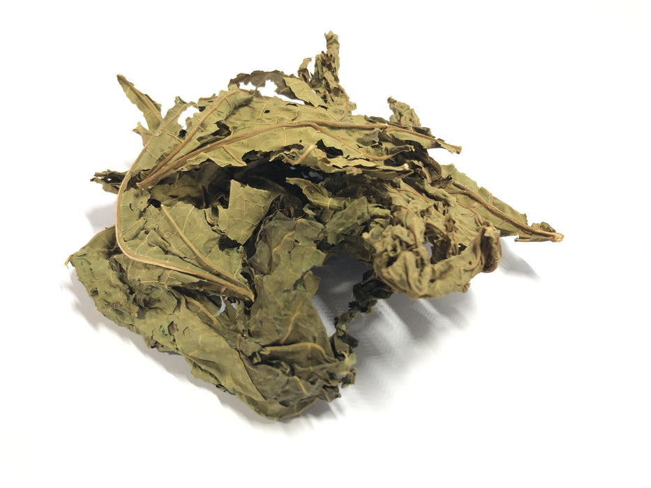 Akshit Papaya Leaves, Hojas de papaya, 2.6oz, Dried From Green Papaya Leaf, Herbal Tea, Non GMO, Caffeine free, Sugar free, Rich In Vitamins.