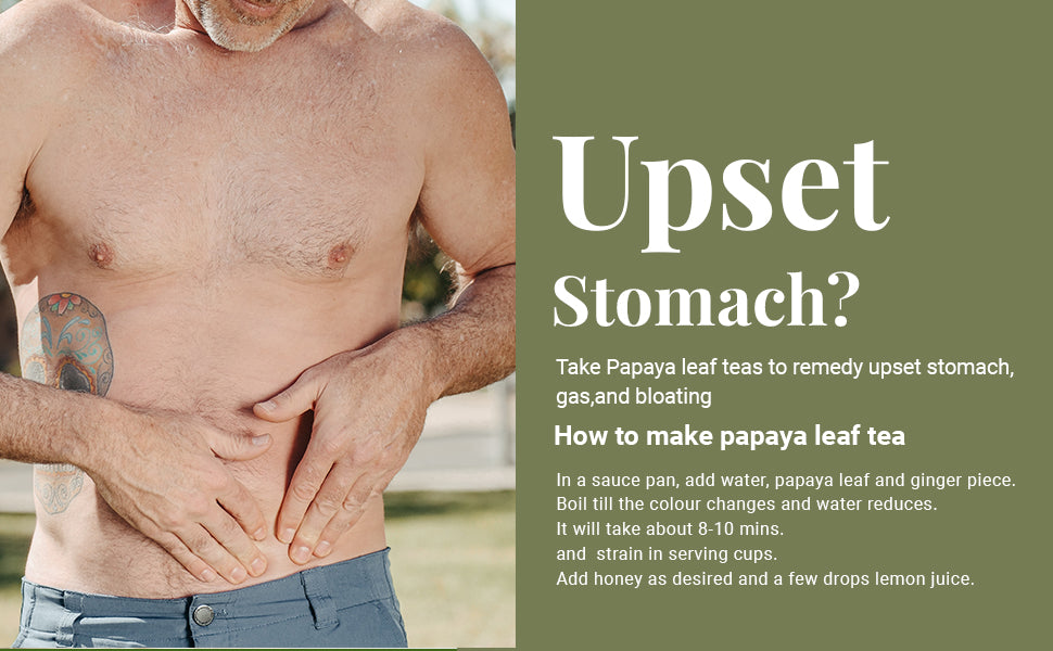 Akshit Papaya Leaves, Hojas de papaya, 2.6oz, Dried From Green Papaya Leaf, Herbal Tea, Non GMO, Caffeine free, Sugar free, Rich In Vitamins.