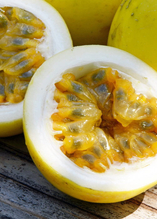 Passion Fruit Vine ‘Sweet Yellow Sunrise’ (Passiflora edulis var. flavicarpa)