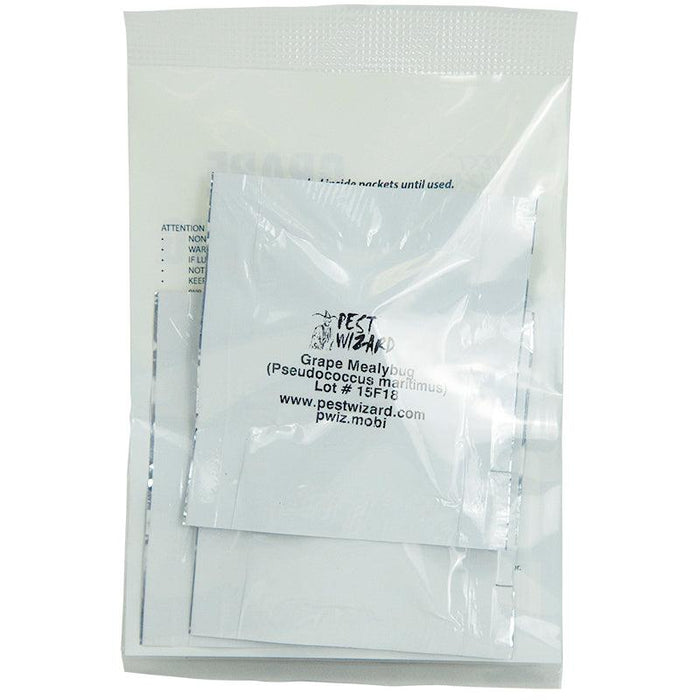 Pest Wizard Grape Mealybug Lure 3-Pack