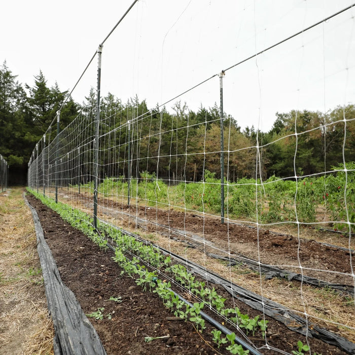 Trellis Netting | 6" Mesh