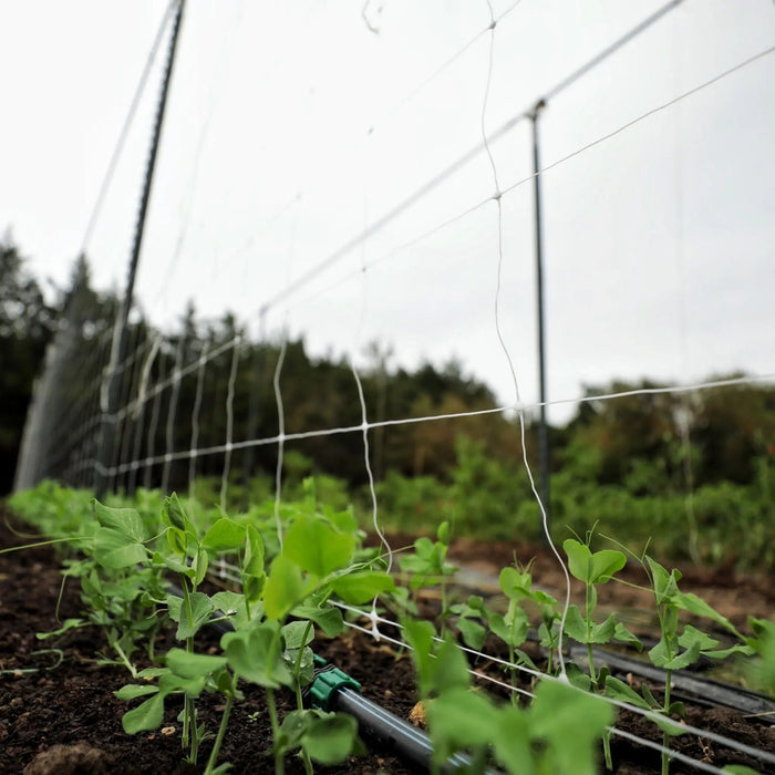 Trellis Netting | 6" Mesh