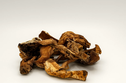 Dried Porcini Mushroom Slices – 1 lb