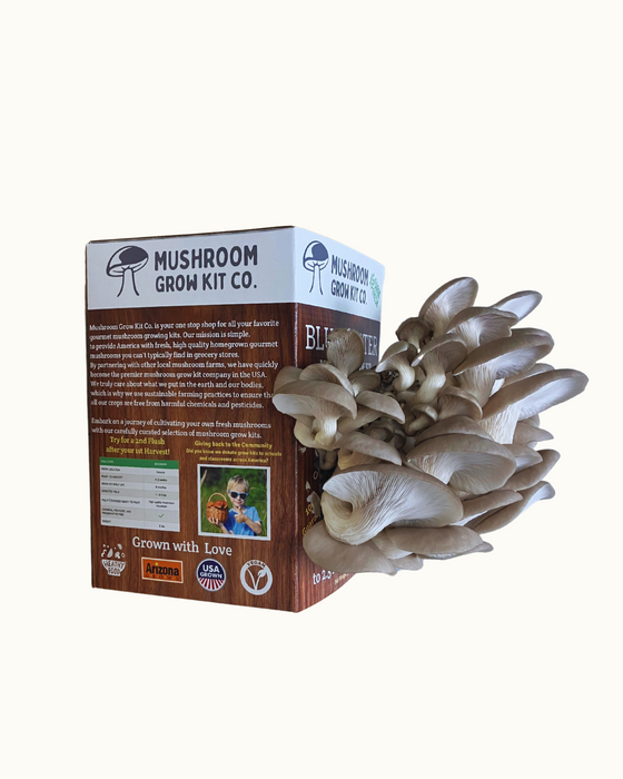 Blue Oyster Mushroom Growing Kit - 5 LBS Spray and Grow