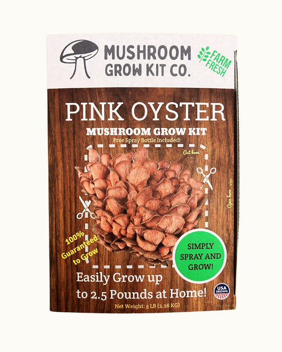 Pink Oyster Mushroom Growing Kit - 5 LBS Spray and Grow
