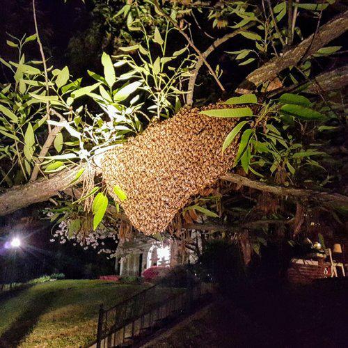 Private Class - Mentor Service