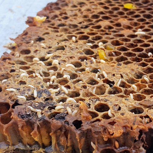 Private Class - Mentor Service