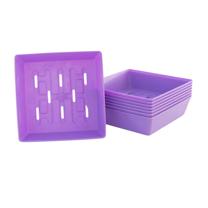 5X5 Shallow Microgreen Trays