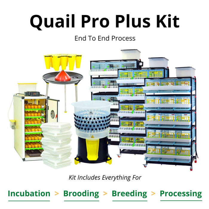 Quail Pro Plus Kit - End To End Process