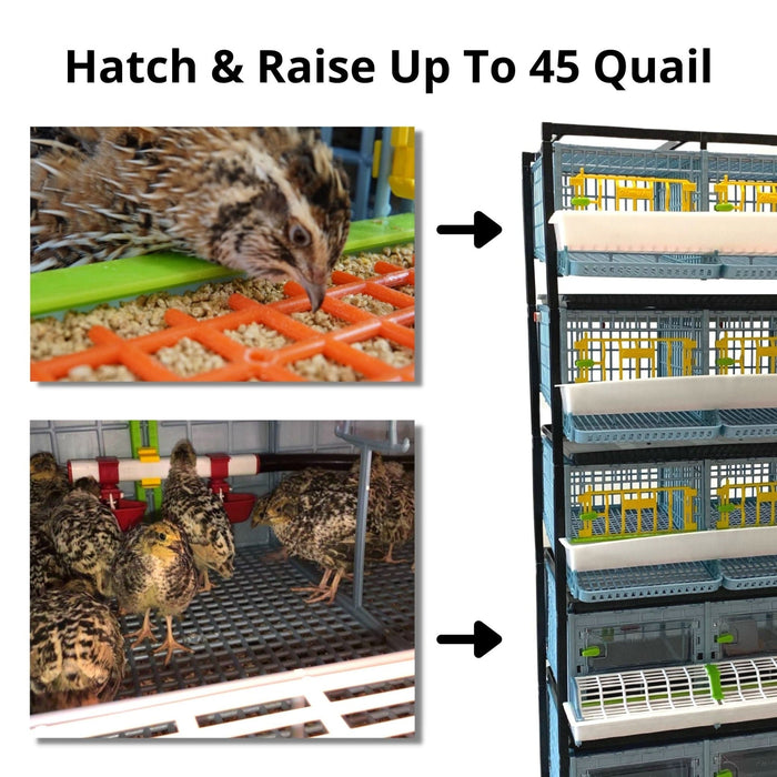 Quail Semi-Pro Kit