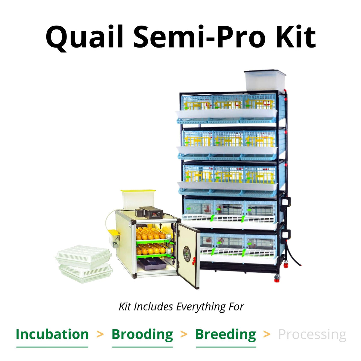 Quail Semi-Pro Kit — Specialty Food Source