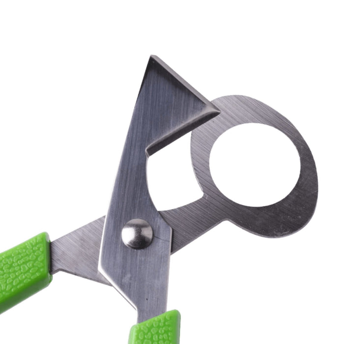 Quail Egg Scissors