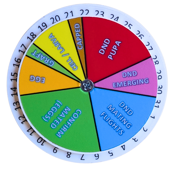 Queen Right Dial - Mating Indicator