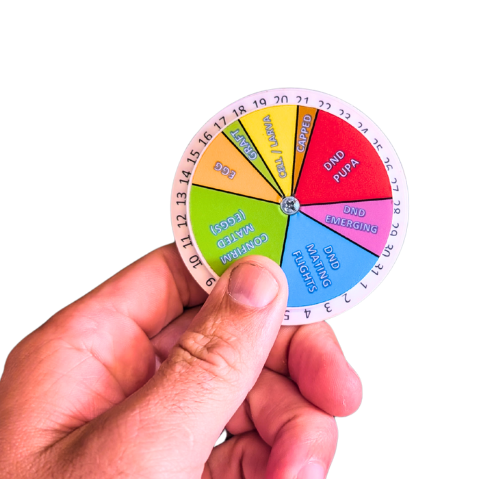 Queen Right Dial - Mating Indicator