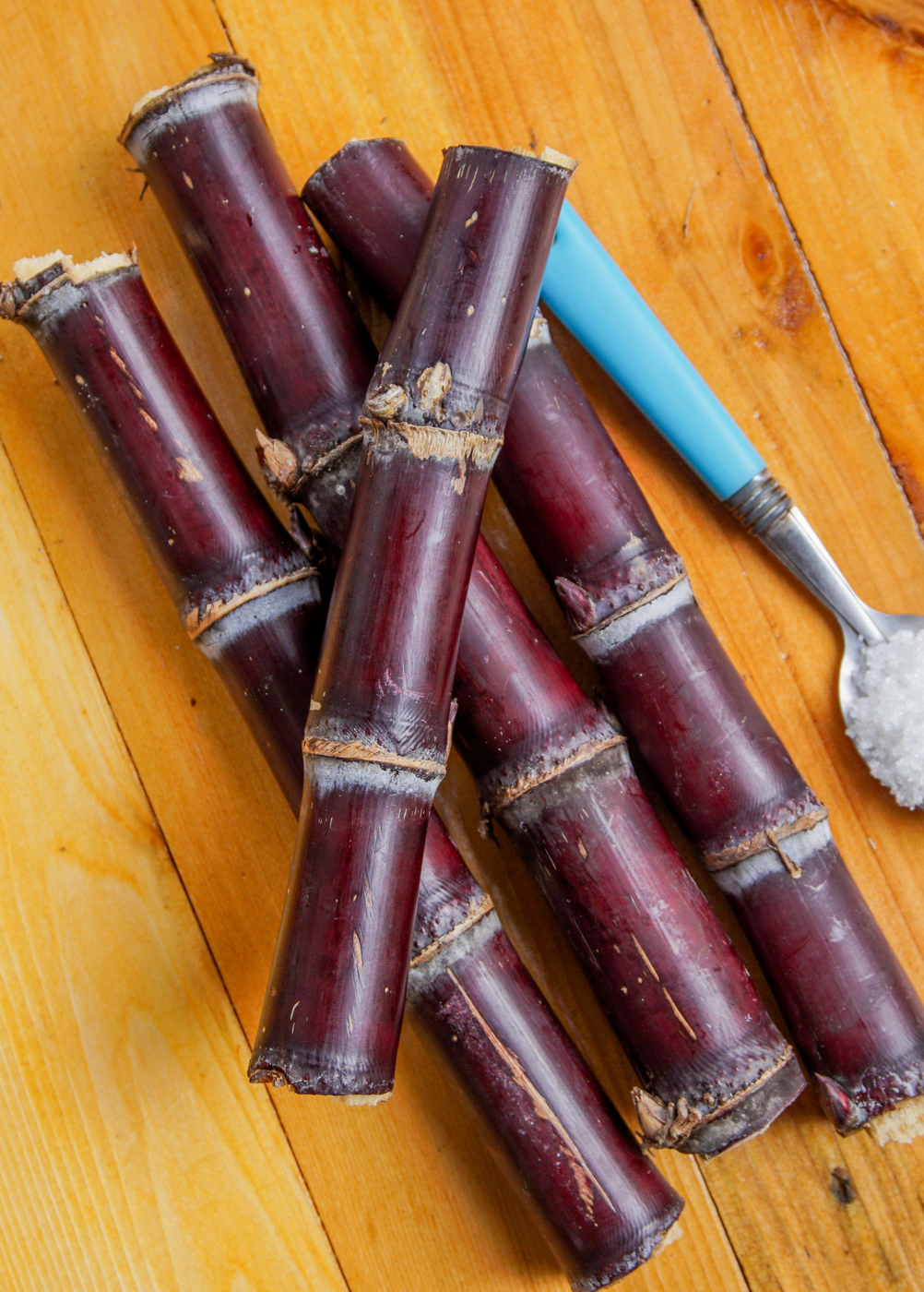 Sugar Cane 'Red' — Specialty Food Source