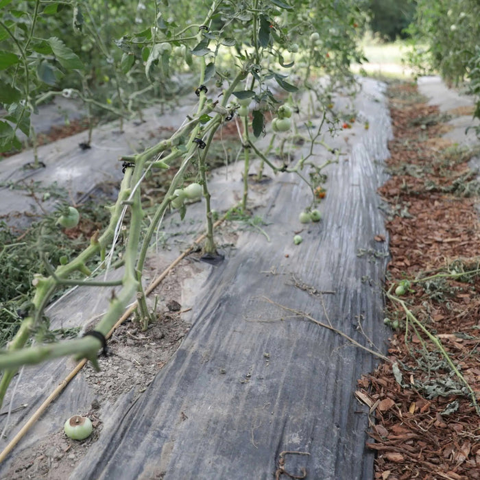 Tomato Roller Hooks