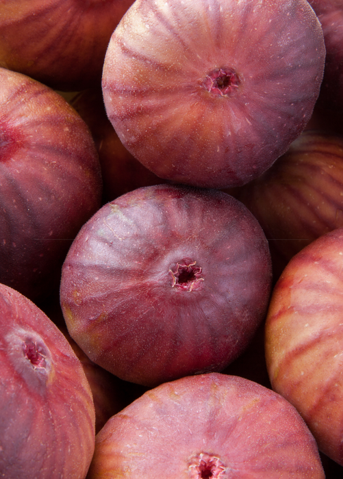 Fig 'Royal Vineyard' (Ficus carica)