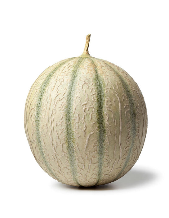 Organic French Charentais Melon Seeds