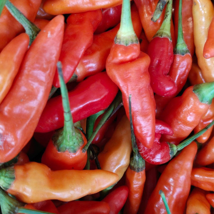 Cayenne Mix Hot Pepper Seeds (Organic)