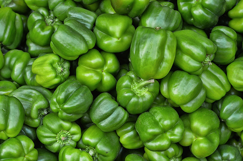 California Wonder Sweet Bell Pepper Seeds (Organic)