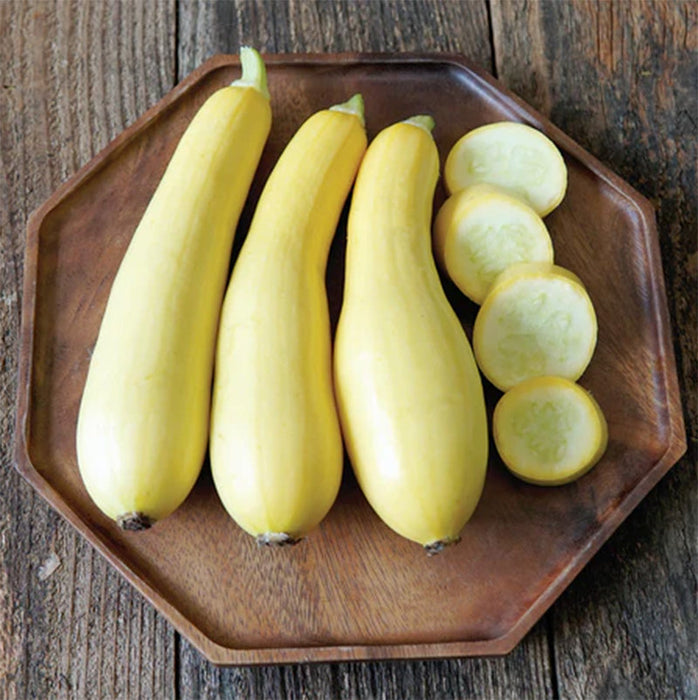 Smooth Criminal Summer Squash Seeds