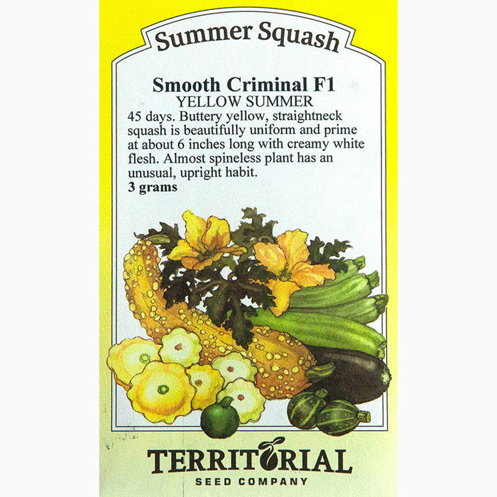 Smooth Criminal Summer Squash Seeds