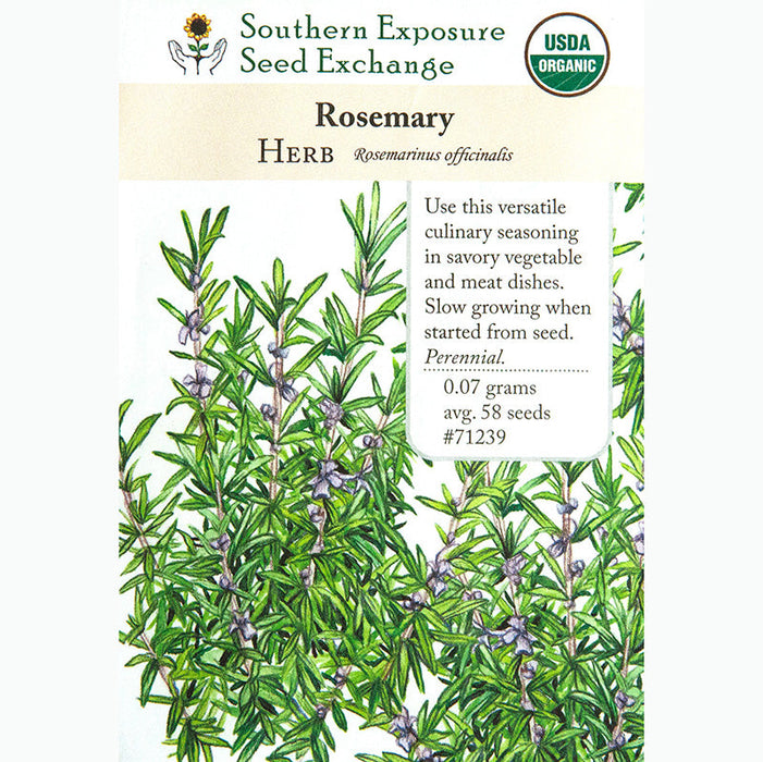 Rosemary Seeds (Organic)