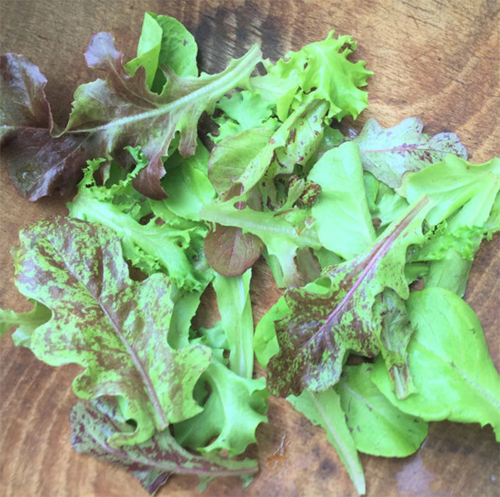 Organic Metta Lettuce Mix