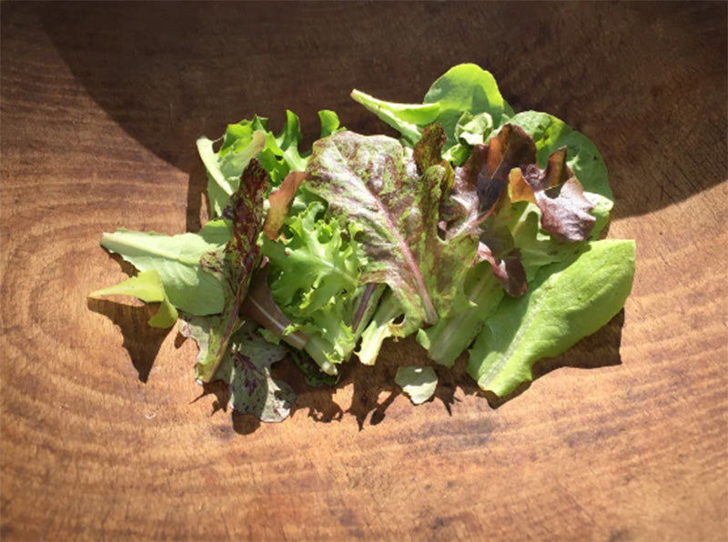 Organic Metta Lettuce Mix