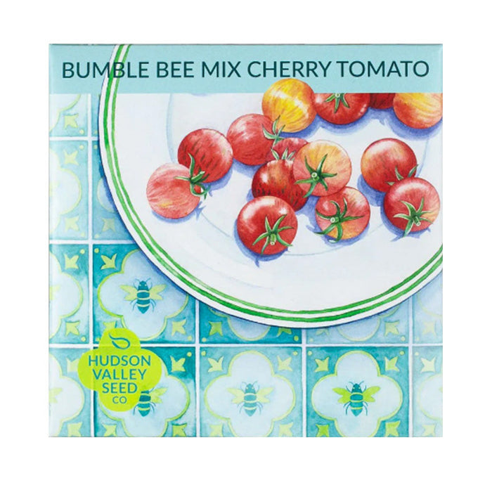 Organic Bumble Bee Cherry Tomato Mix Art Pack