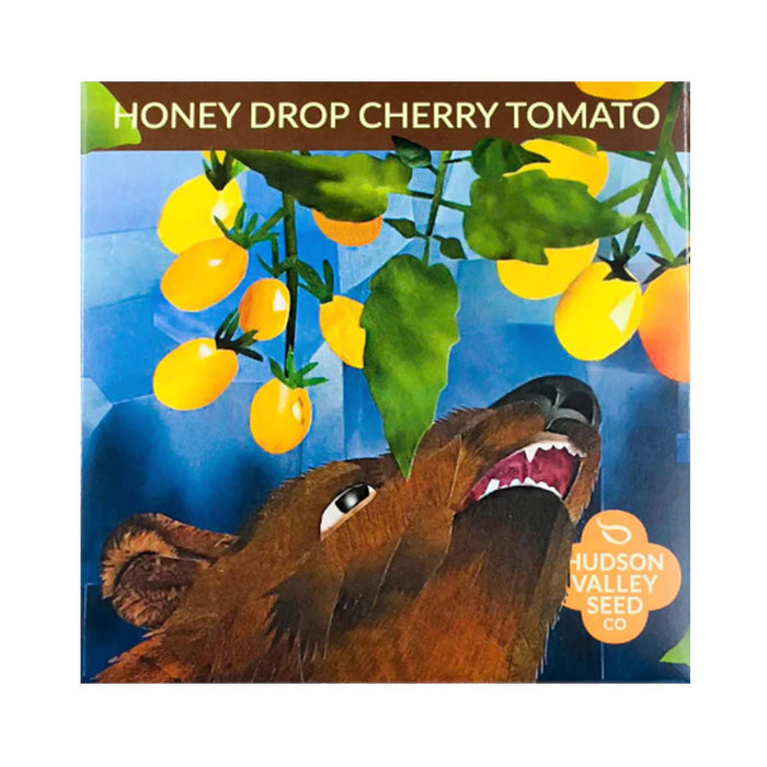 Organic Honey Drop Cherry Tomato Art Pack