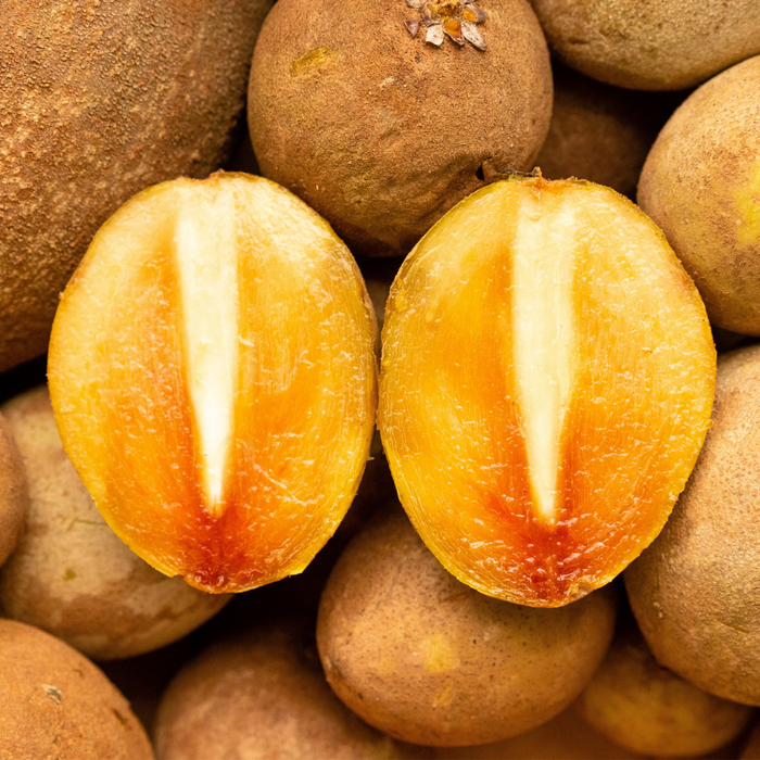 Sapodilla (Nispero/Naseberry)