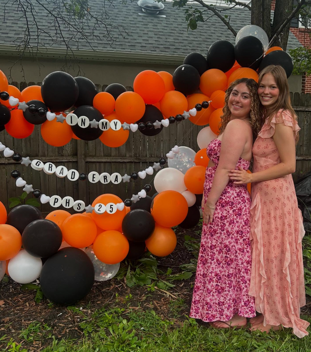 Friendship Bracelet Garland/Banner