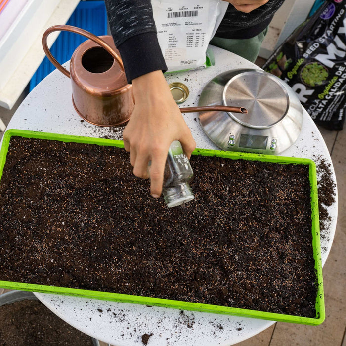 1020 Microgreen Trays - Shallow Extra Strength Colors