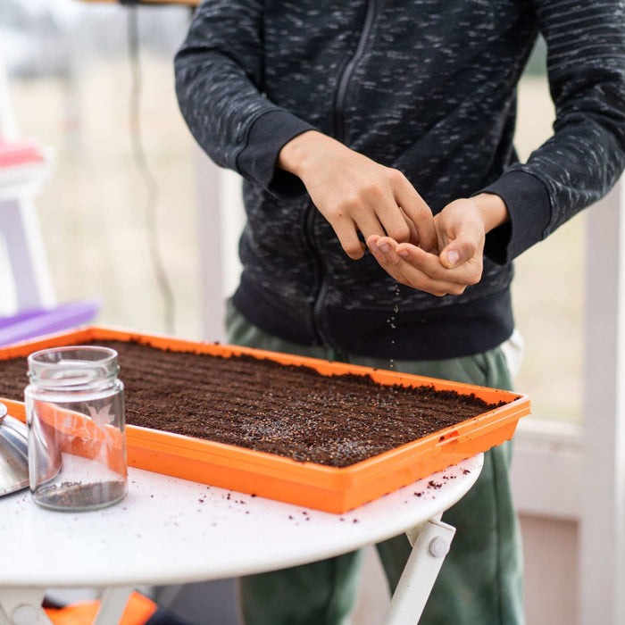 1020 Microgreen Trays - Shallow Extra Strength Colors